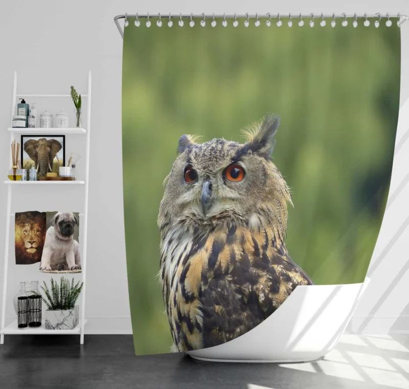 Owl Silent Observation Shower Curtain