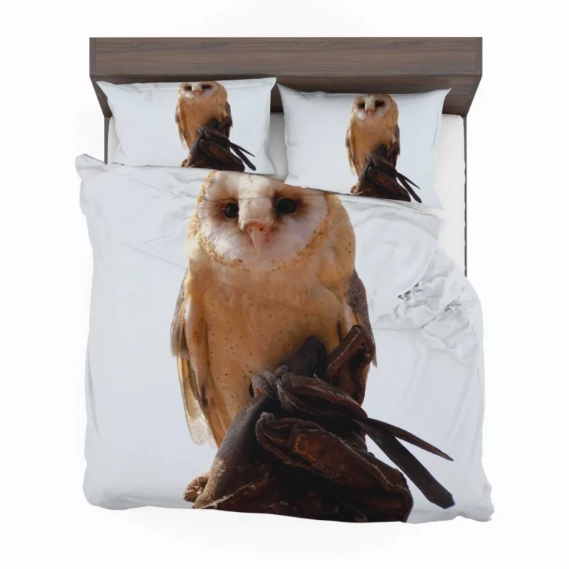 Owl Silent Watch Night Sentinel Bedding Set 1