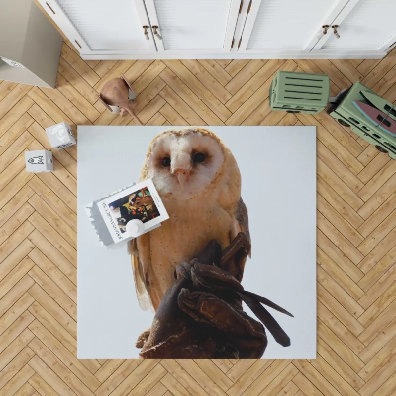 Owl Silent Watch Night Sentinel Rug