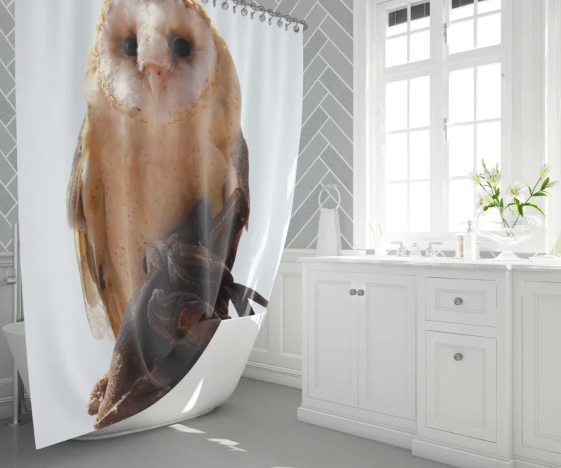 Owl Silent Watch Night Sentinel Shower Curtain 1