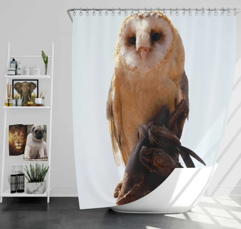 Owl Silent Watch Night Sentinel Shower Curtain