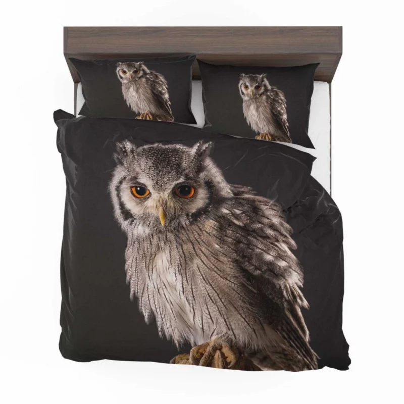 Owl Silent Watch Nocturnal Guardian Bedding Set 1