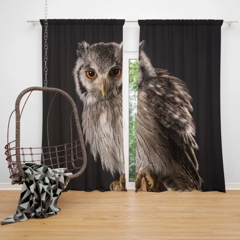 Owl Silent Watch Nocturnal Guardian Curtain