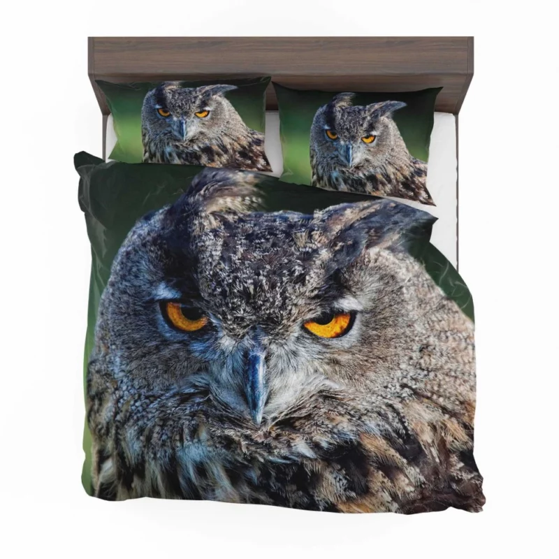 Owl Wise Gaze Nocturnal Majesty Bedding Set 1