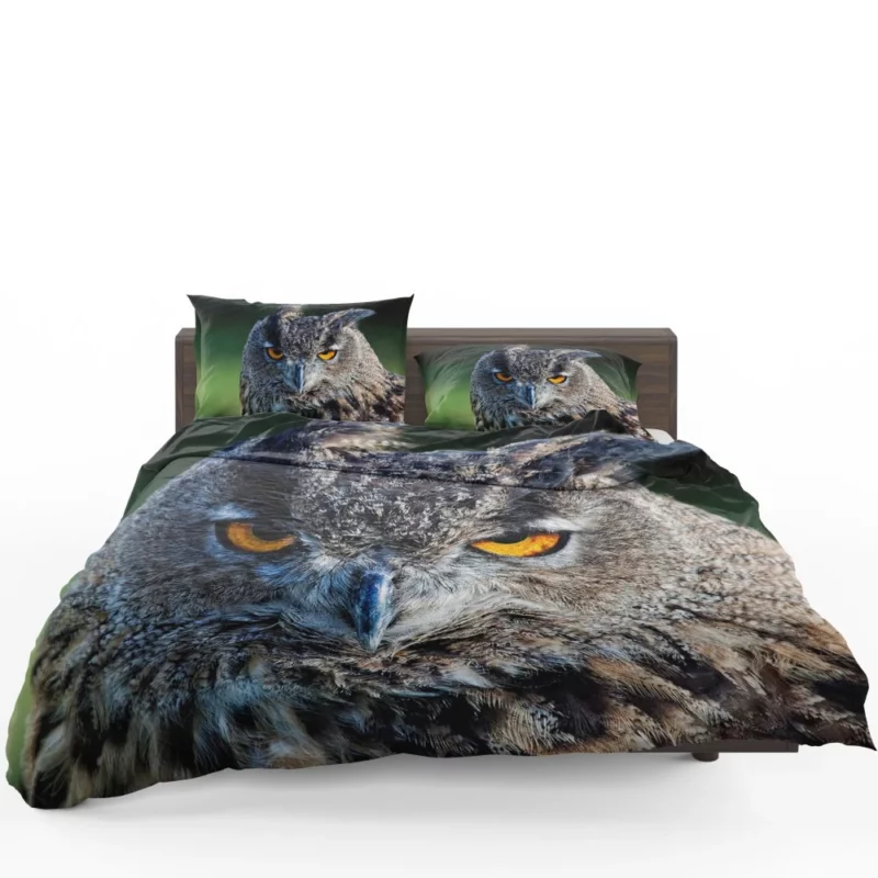 Owl Wise Gaze Nocturnal Majesty Bedding Set