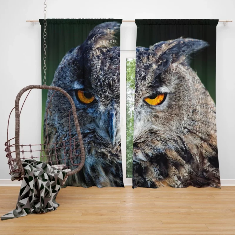 Owl Wise Gaze Nocturnal Majesty Curtain