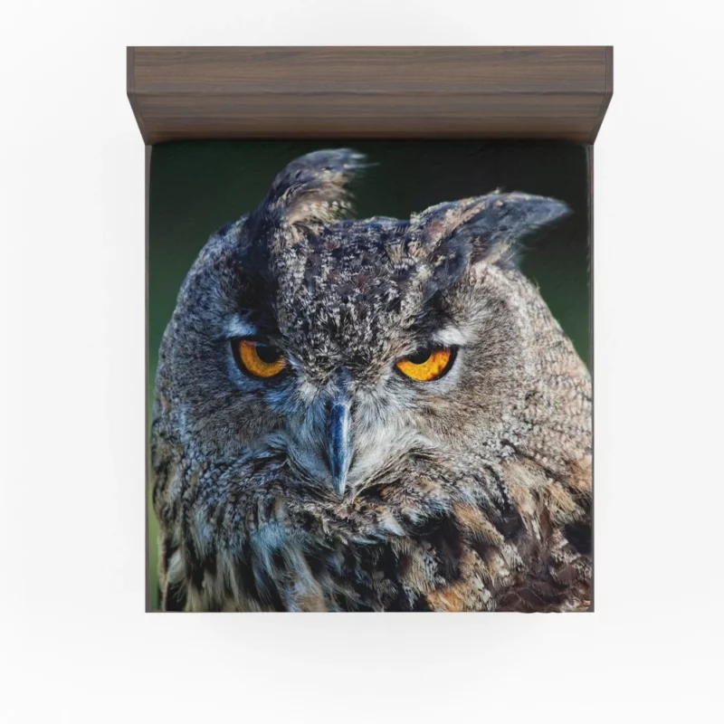 Owl Wise Gaze Nocturnal Majesty Fitted Sheet 1