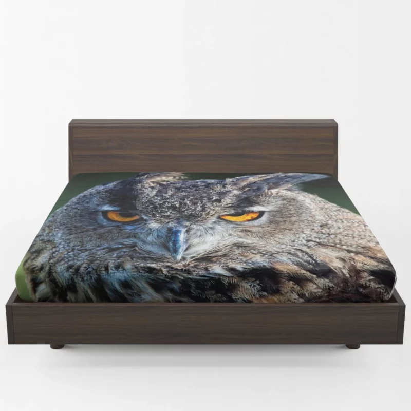 Owl Wise Gaze Nocturnal Majesty Fitted Sheet