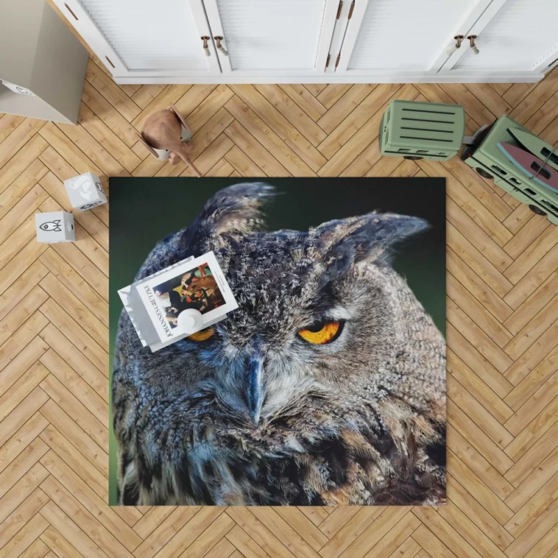 Owl Wise Gaze Nocturnal Majesty Rug