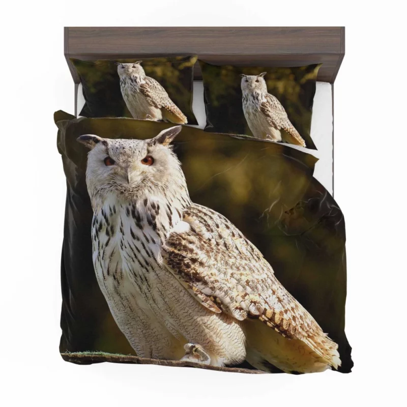 Owl at Wildlife Park Nocturnal Majesty Bedding Set 1