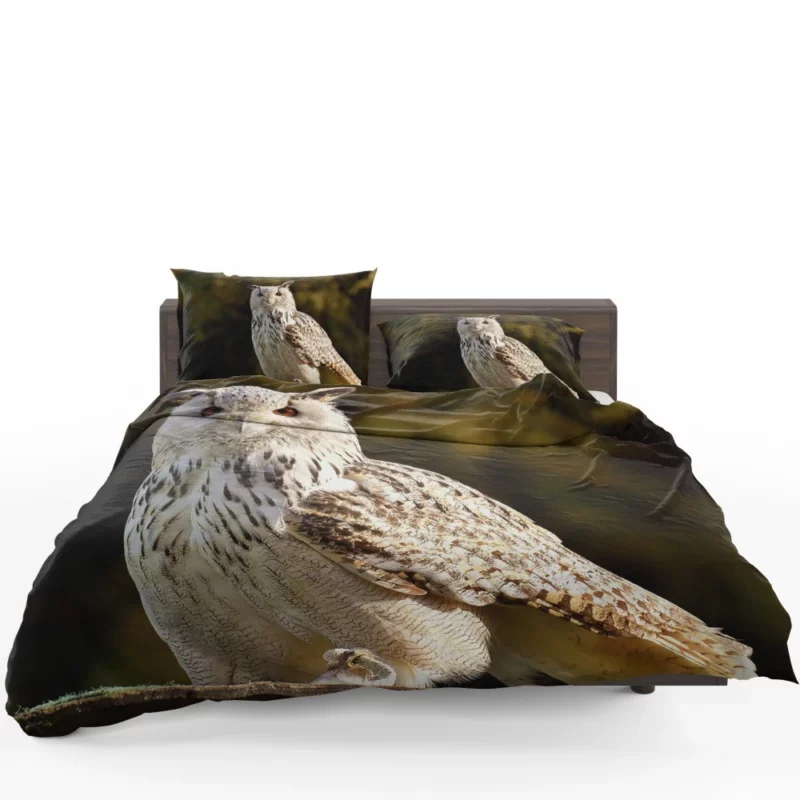 Owl at Wildlife Park Nocturnal Majesty Bedding Set