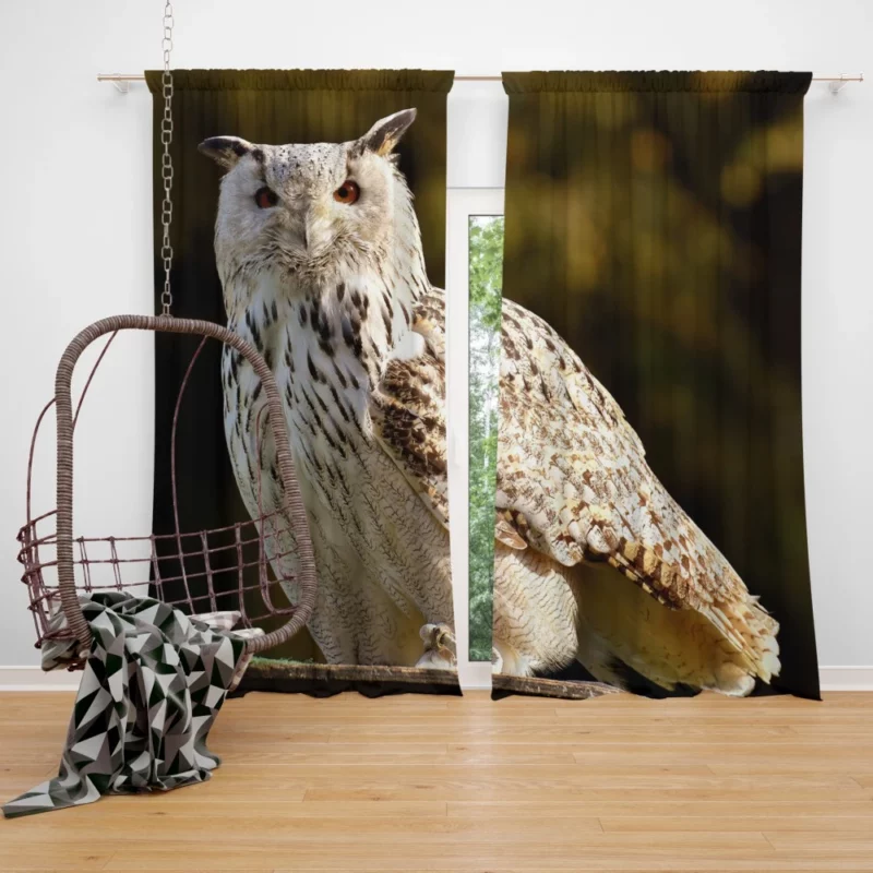 Owl at Wildlife Park Nocturnal Majesty Curtain