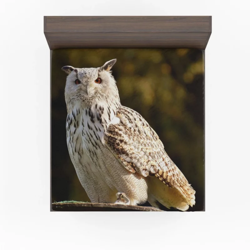 Owl at Wildlife Park Nocturnal Majesty Fitted Sheet 1