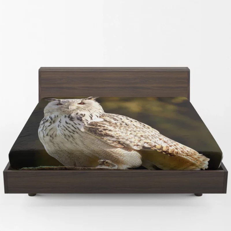 Owl at Wildlife Park Nocturnal Majesty Fitted Sheet