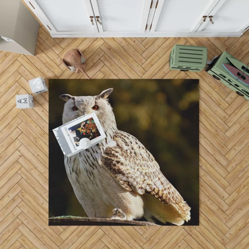 Owl at Wildlife Park Nocturnal Majesty Rug