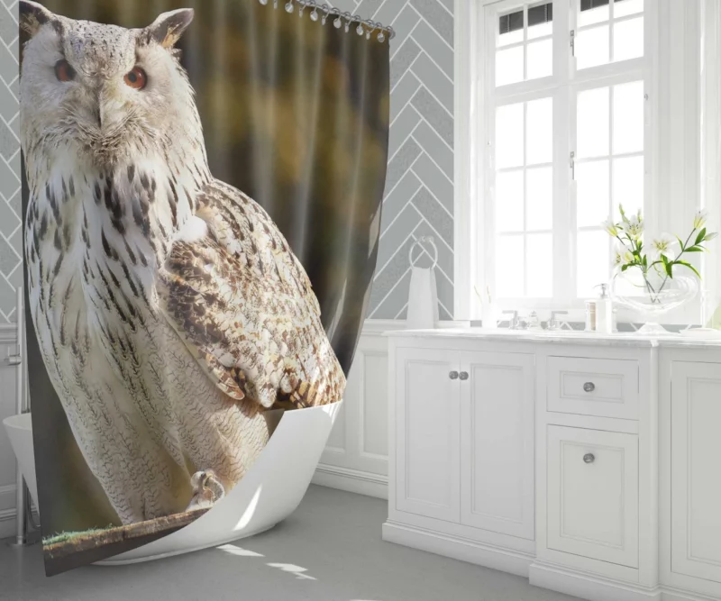 Owl at Wildlife Park Nocturnal Majesty Shower Curtain 1