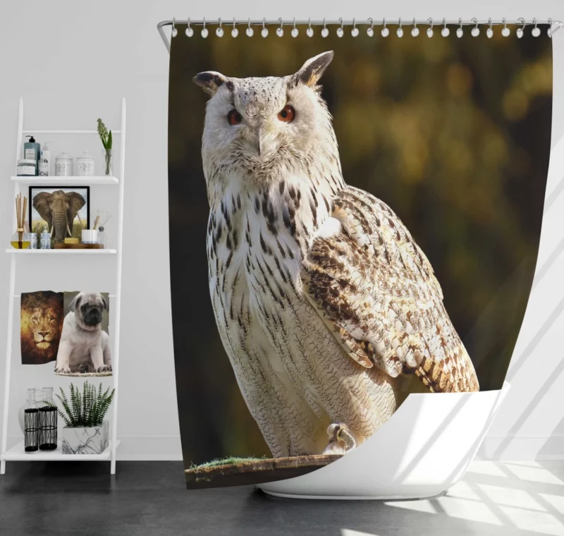 Owl at Wildlife Park Nocturnal Majesty Shower Curtain