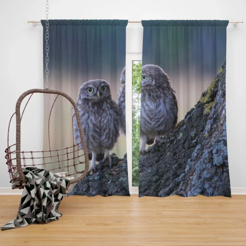 Owls Tree Gathering Nocturnal Companions Curtain