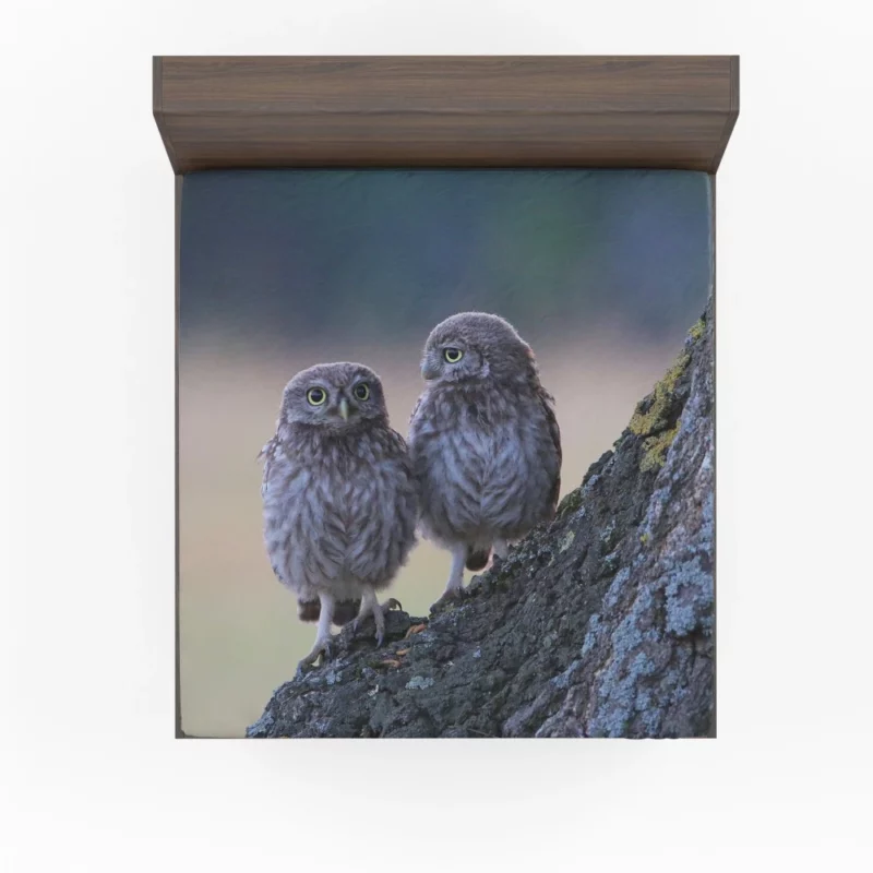 Owls Tree Gathering Nocturnal Companions Fitted Sheet 1