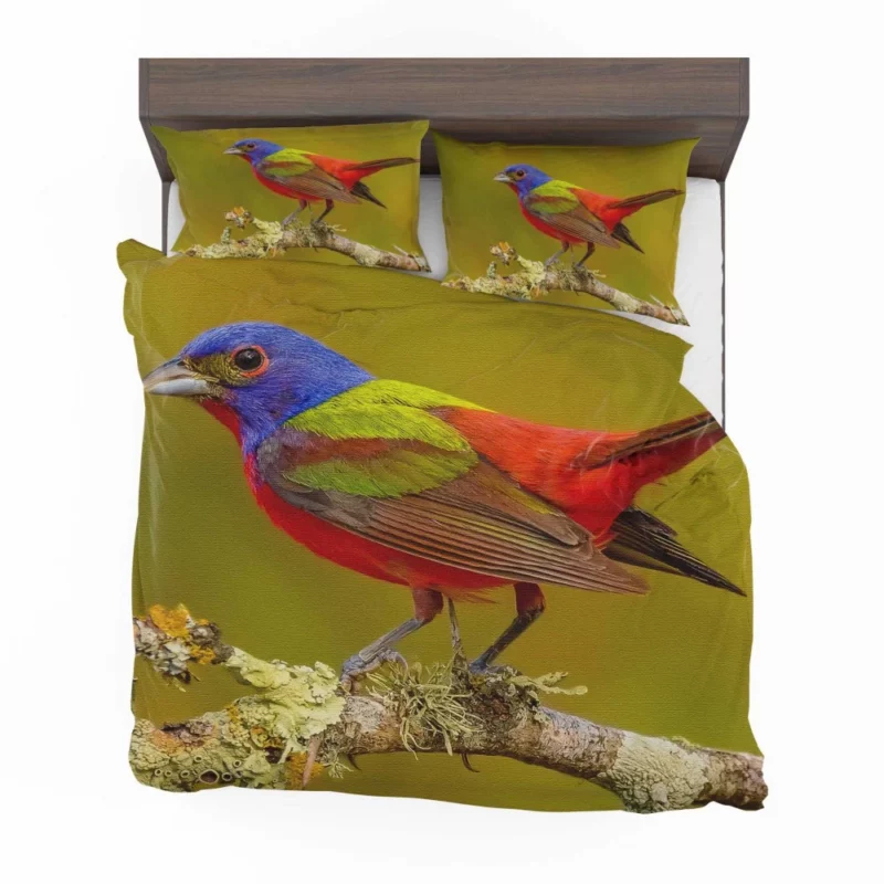 Painted Bunting Colorful Beauty Vibrant Passerine Bedding Set 1