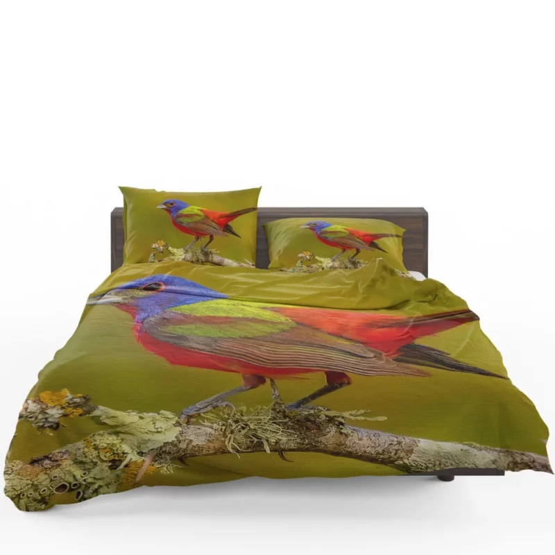 Painted Bunting Colorful Beauty Vibrant Passerine Bedding Set