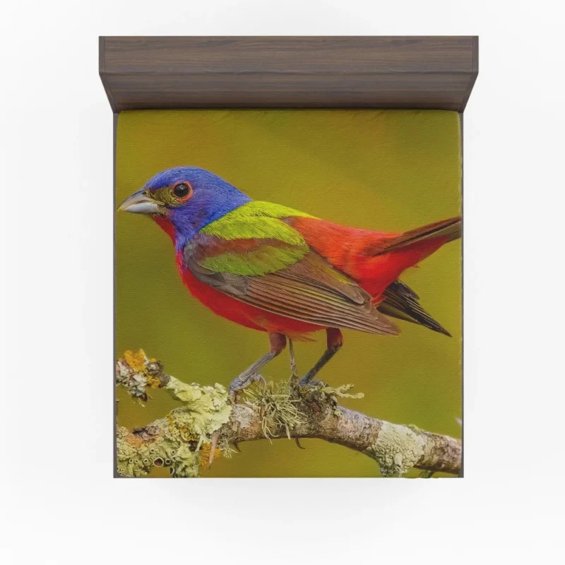 Painted Bunting Colorful Beauty Vibrant Passerine Fitted Sheet 1