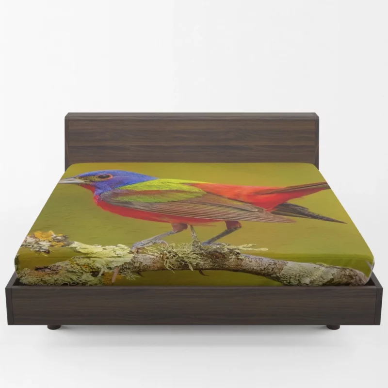 Painted Bunting Colorful Beauty Vibrant Passerine Fitted Sheet