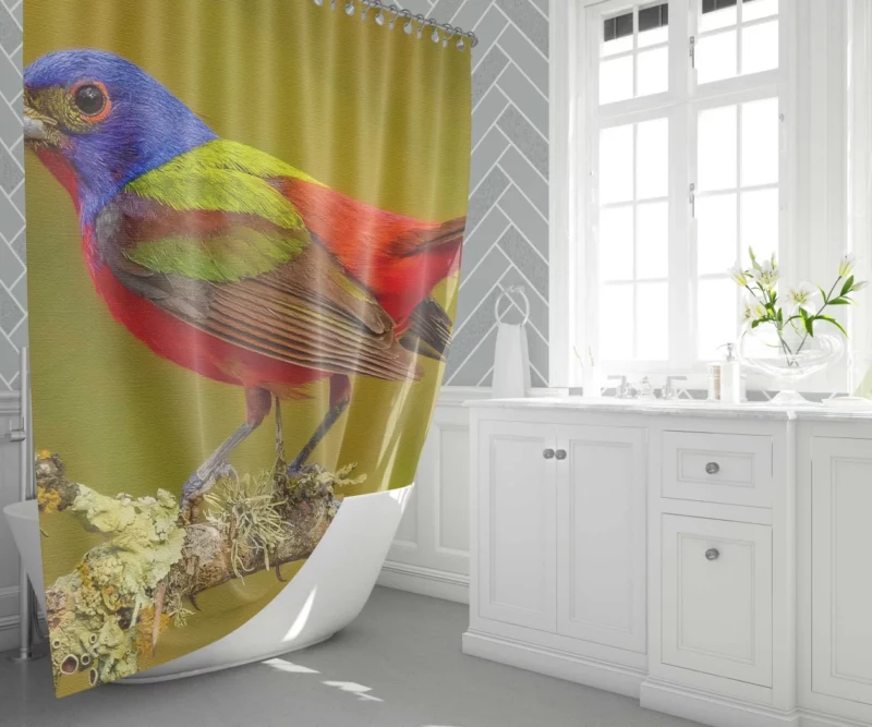 Painted Bunting Colorful Beauty Vibrant Passerine Shower Curtain 1