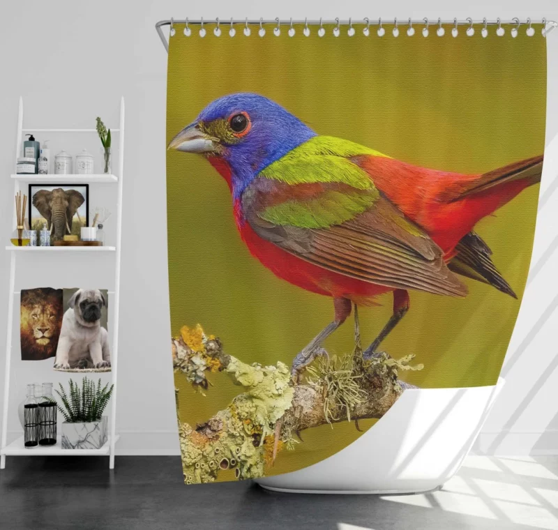 Painted Bunting Colorful Beauty Vibrant Passerine Shower Curtain