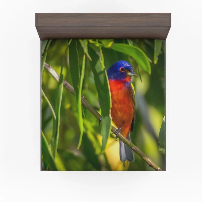 Painted Bunting Vibrant Plumage Artful Display Fitted Sheet 1