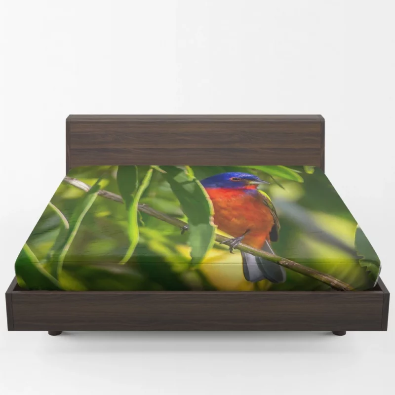 Painted Bunting Vibrant Plumage Artful Display Fitted Sheet