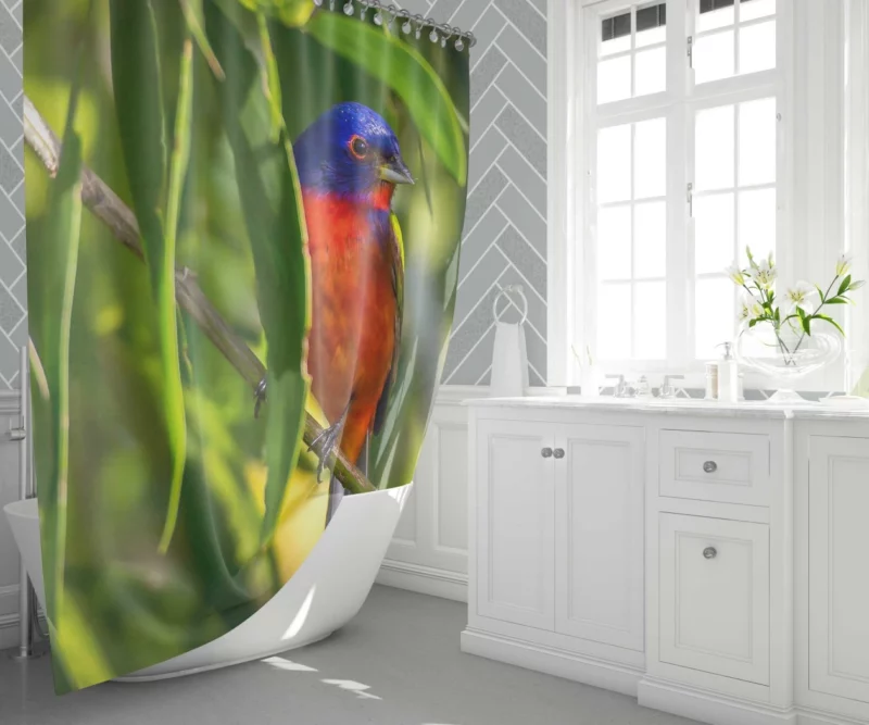 Painted Bunting Vibrant Plumage Artful Display Shower Curtain 1