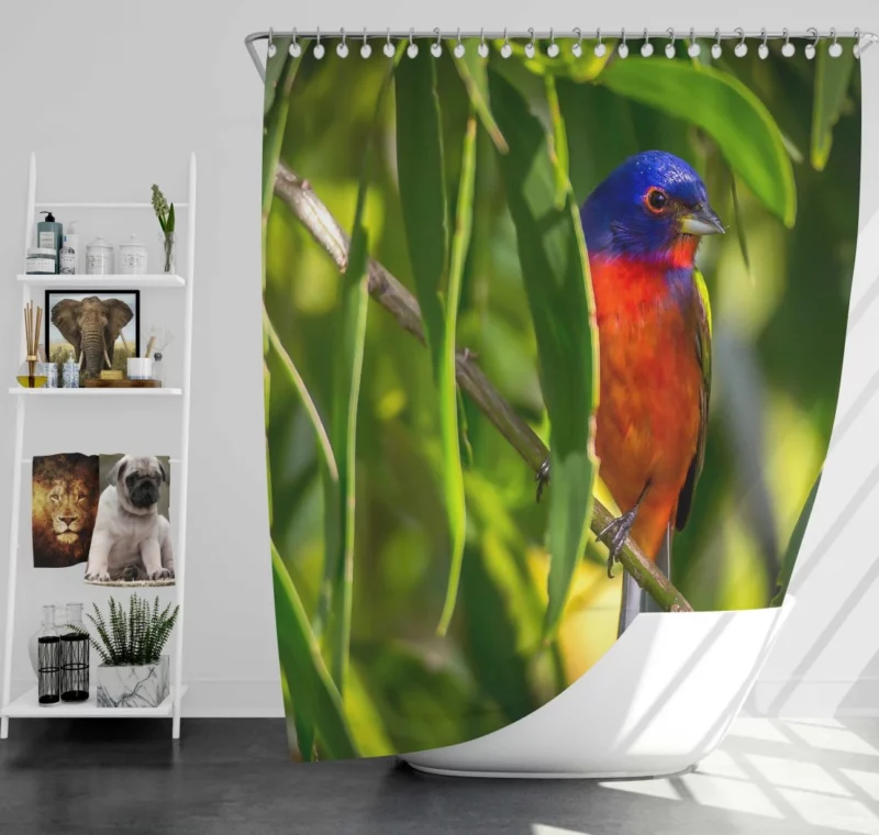 Painted Bunting Vibrant Plumage Artful Display Shower Curtain