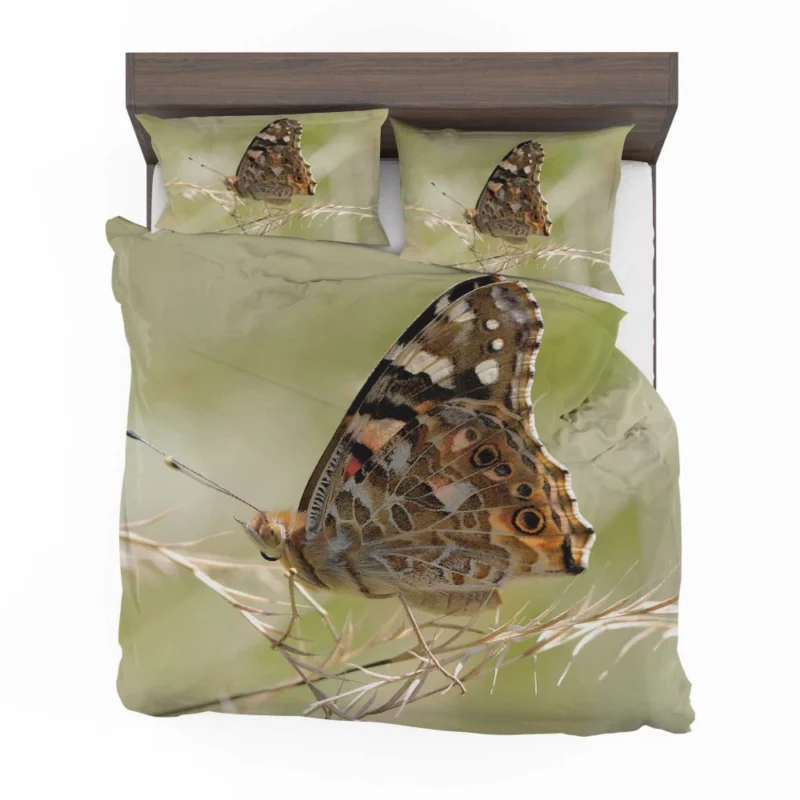 Painted Lady Butterfly Delicate Elegance Bedding Set 1