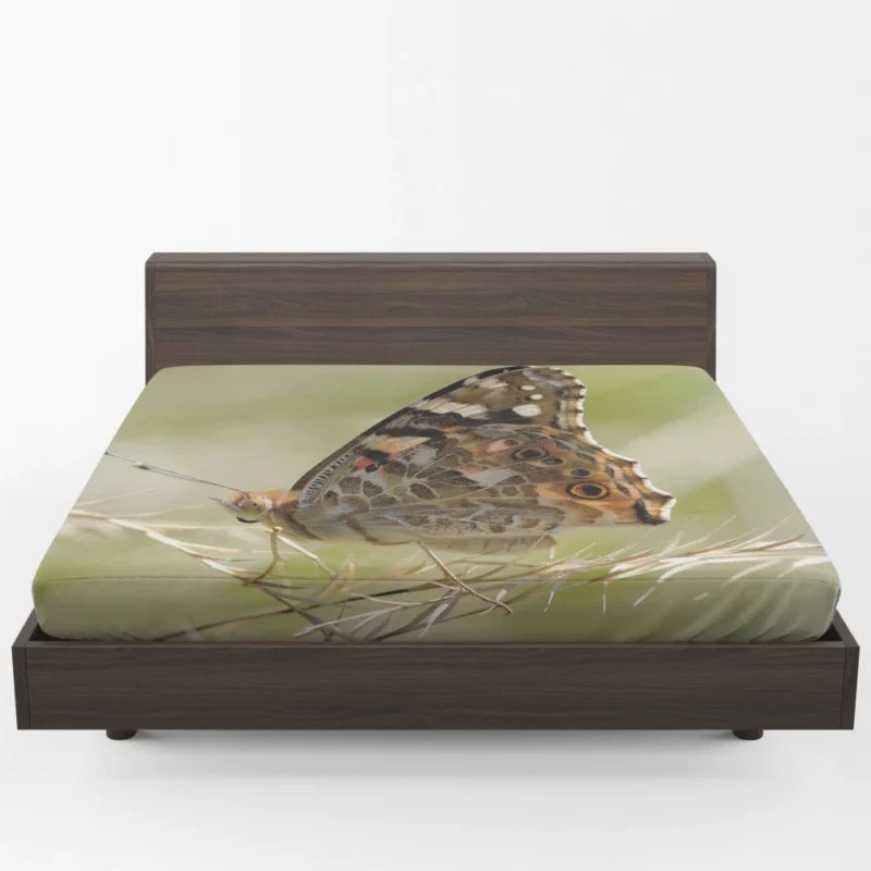 Painted Lady Butterfly Delicate Elegance Fitted Sheet