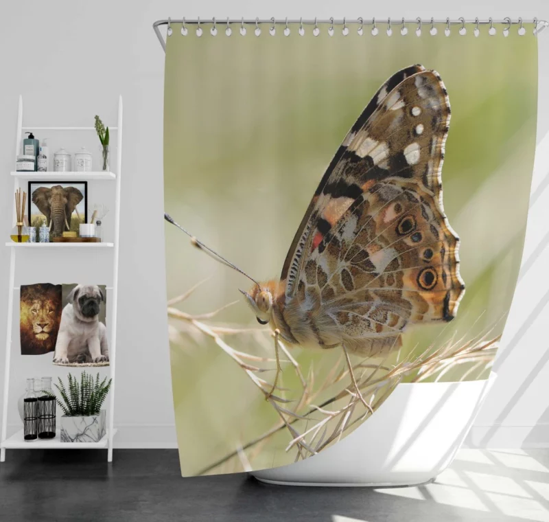 Painted Lady Butterfly Delicate Elegance Shower Curtain