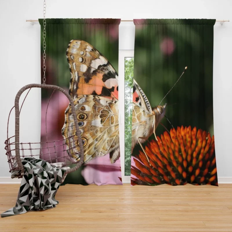 Painted Lady Butterfly in Focus Curtain