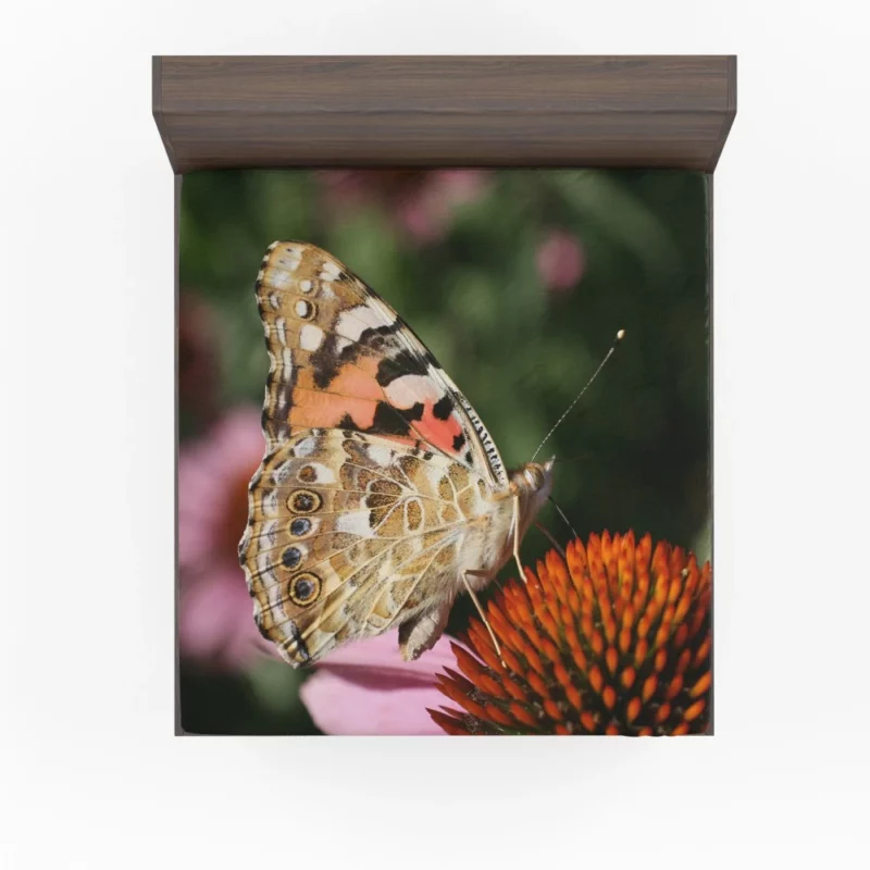 Painted Lady Butterfly in Focus Fitted Sheet 1