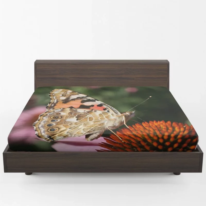 Painted Lady Butterfly in Focus Fitted Sheet