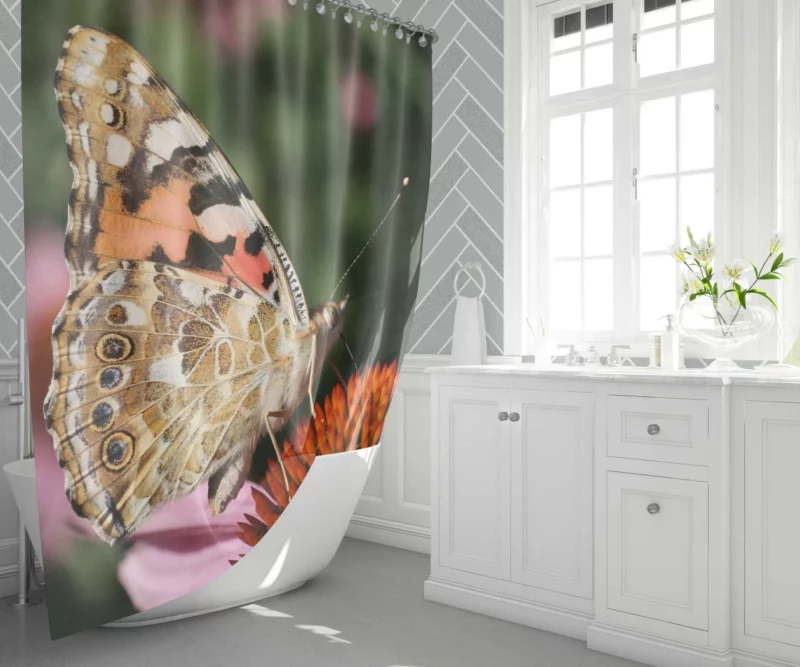 Painted Lady Butterfly in Focus Shower Curtain 1