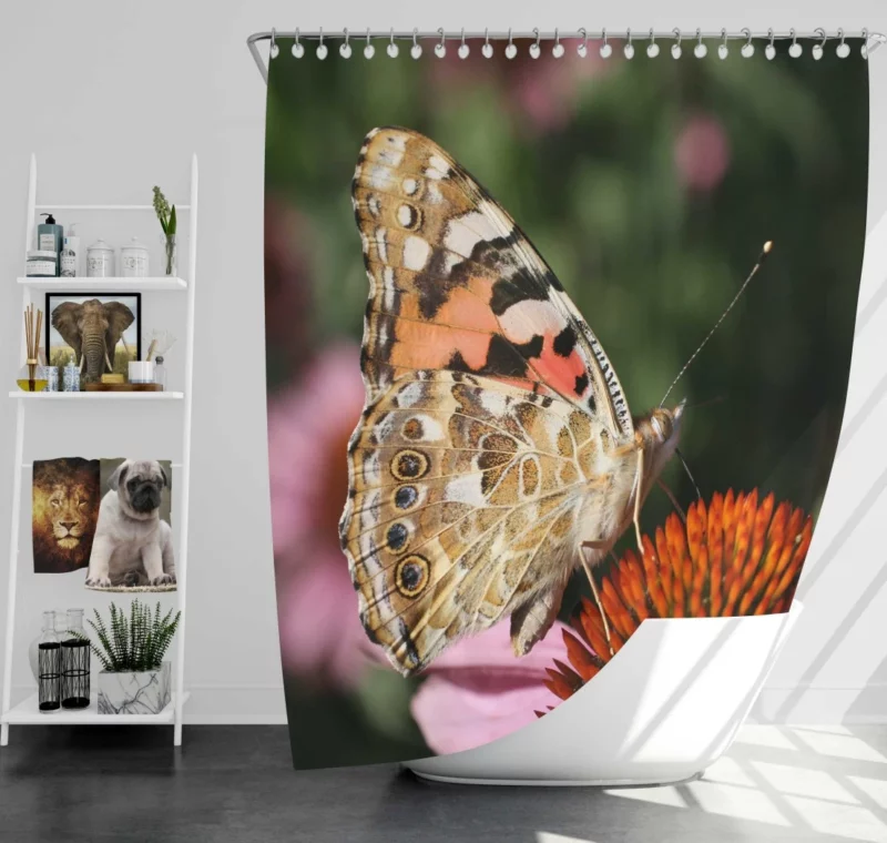 Painted Lady Butterfly in Focus Shower Curtain