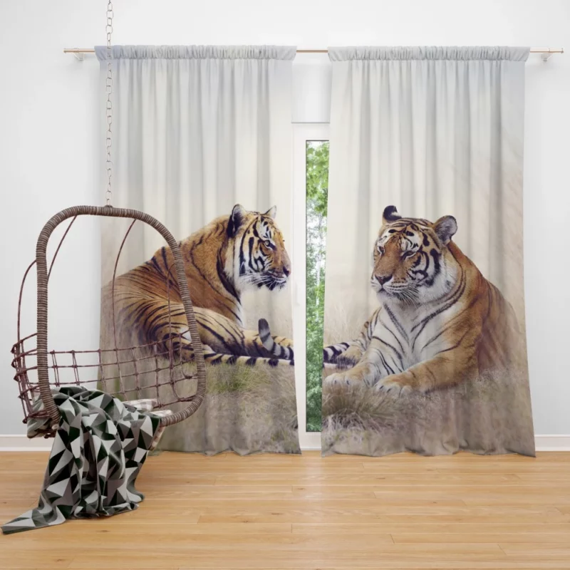 Pair of Tigers Graceful Duet in Grass Curtain