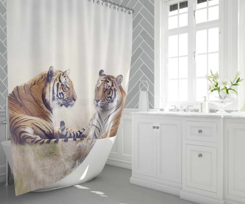 Pair of Tigers Graceful Duet in Grass Shower Curtain 1