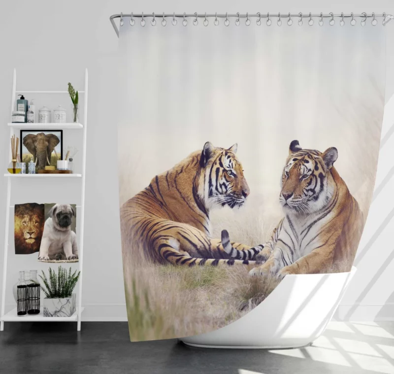 Pair of Tigers Graceful Duet in Grass Shower Curtain