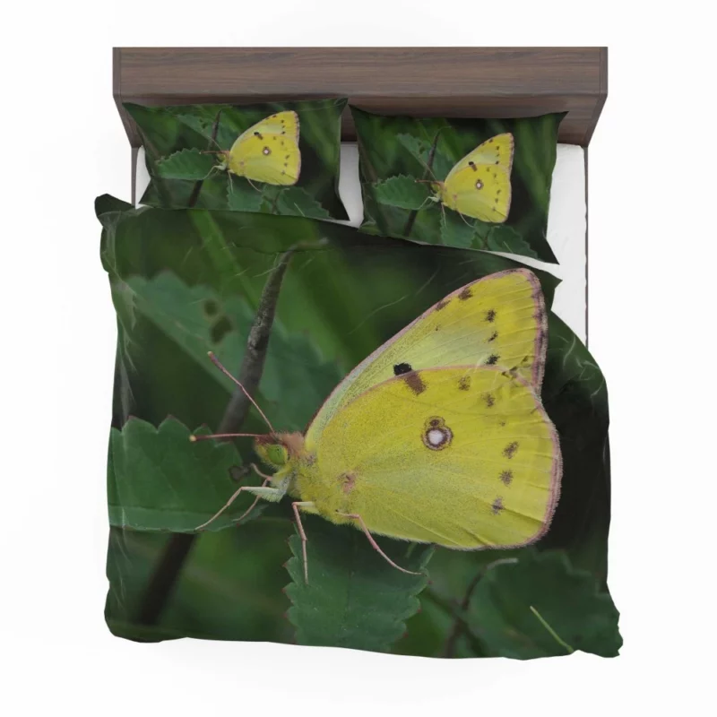 Pale Clouded Yellow Butterfly Ephemeral Charm Bedding Set 1