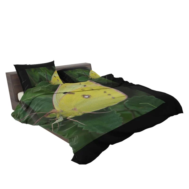 Pale Clouded Yellow Butterfly Ephemeral Charm Bedding Set 2