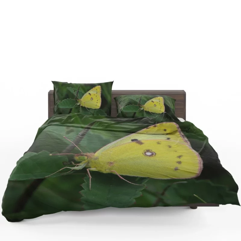 Pale Clouded Yellow Butterfly Ephemeral Charm Bedding Set