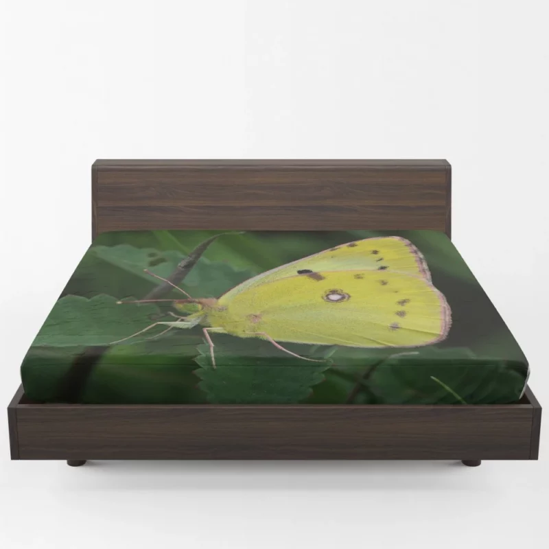 Pale Clouded Yellow Butterfly Ephemeral Charm Fitted Sheet