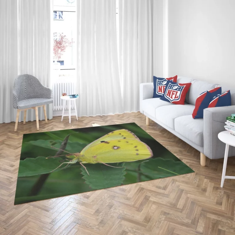 Pale Clouded Yellow Butterfly Ephemeral Charm Rug 2