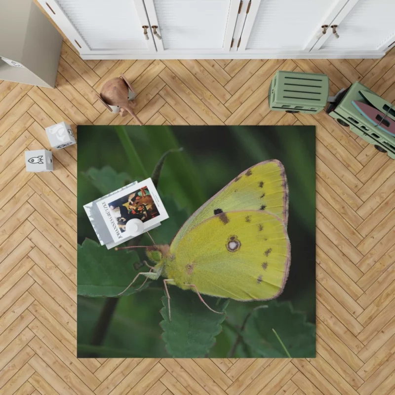 Pale Clouded Yellow Butterfly Ephemeral Charm Rug